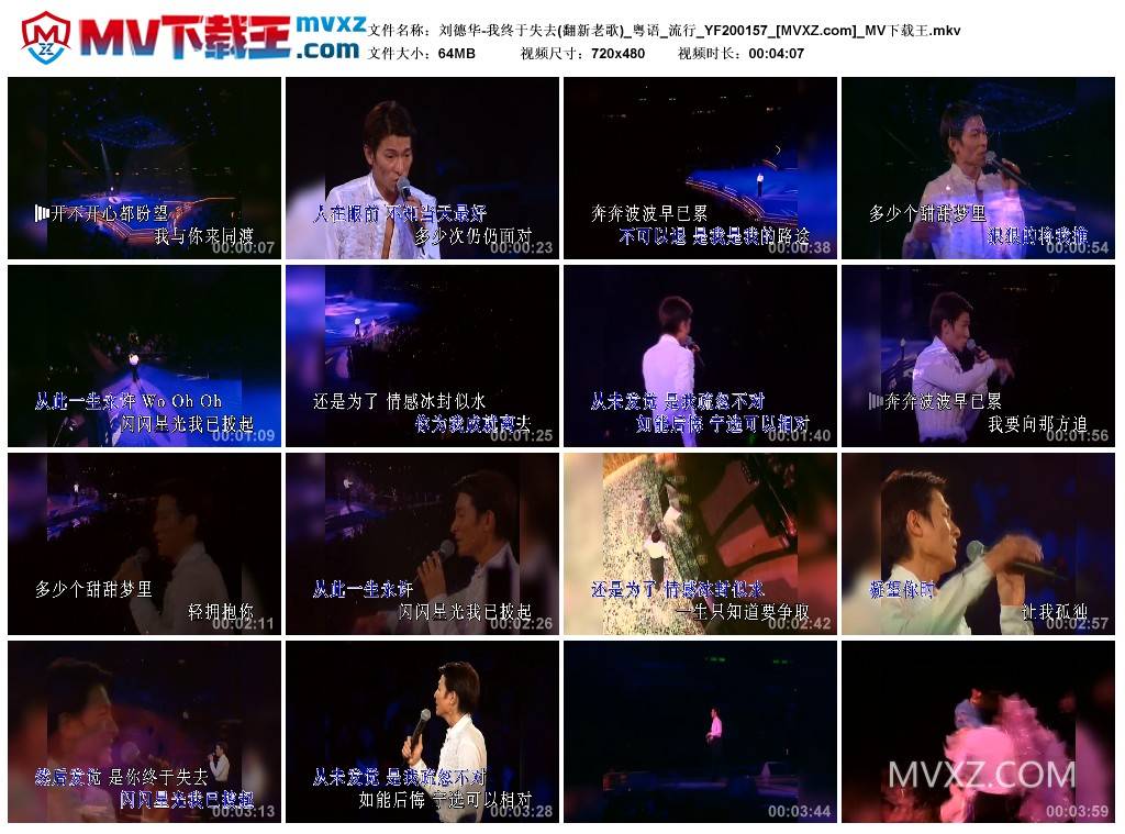 刘德华-我终于失去(翻新老歌)_粤语_流行_YF200157